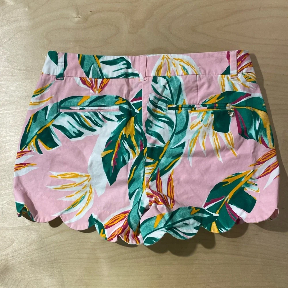 Crown & Ivy Pink and Green Tropical Print Women Shorts 10 Shelby (B)